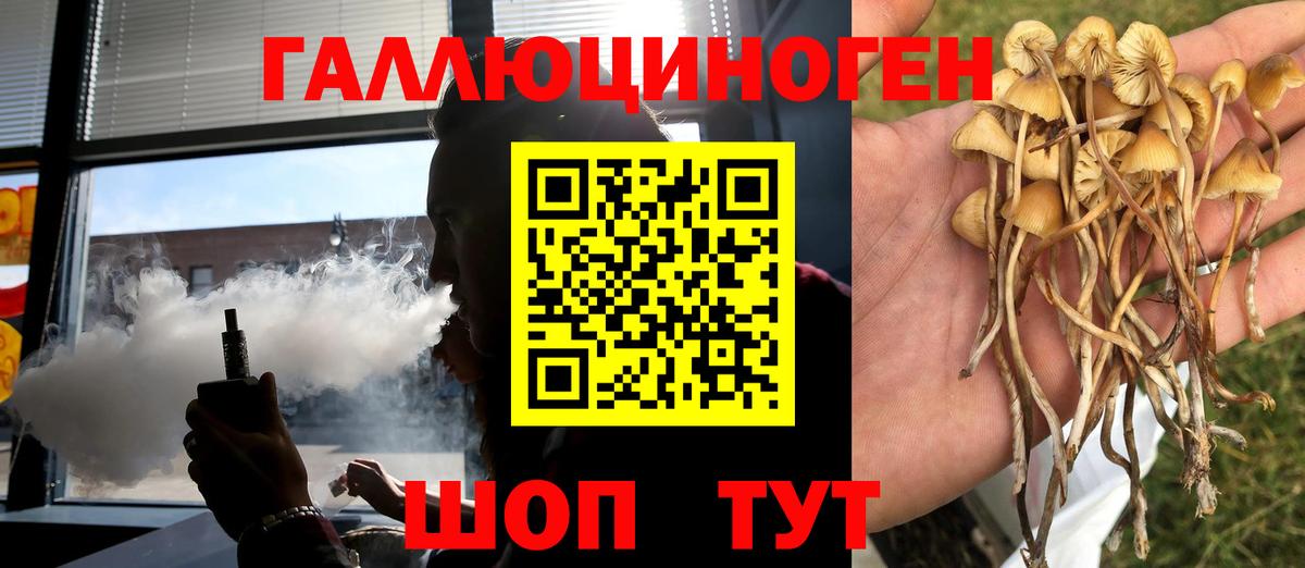 Псилоцибиновые грибы Psilocybe  Вход с VPN  Ахтубинск  Галлюциногенные грибы MAGIC MUSHROOMS 