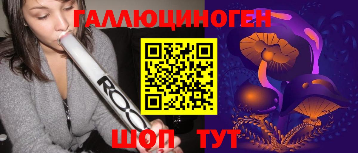 Псилоцибиновые грибы Psilocybine cubensis Ахтубинск