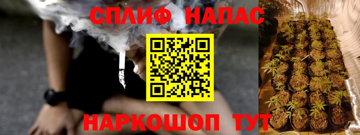 Конопля семена Ахтубинск